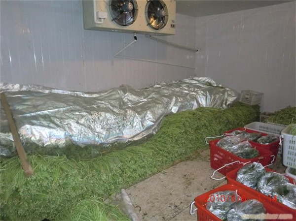 板栗冷庫(kù),板栗冷庫(kù)廠家,板栗冷庫(kù)建造,板栗冷庫(kù)設(shè)計(jì),板栗冷庫(kù)價(jià)格表