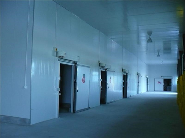 乳品冷庫,乳品冷庫廠(chǎng)家,乳品冷庫建造,乳品冷庫設計,乳品冷庫價(jià)格表