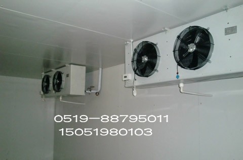 保鮮冷庫,保鮮冷庫廠(chǎng)家,保鮮冷庫建造,保鮮冷庫設計,保鮮冷庫價(jià)格表